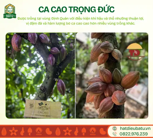 Top Đặc Sản Định Quán Đồng Nai Nổi Tiếng Nhất Năm 2026 Nên Thử Và Mua Làm Quà
