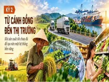 Đặc Sản Đoan Hùng Phú Thọ: Top Các Sản Phẩm Nổi Tiếng Và Kinh Nghiệm Mua Làm Quà Đặc Sản Đoan Hùng Phú Thọ: Top Các Sản Phẩm Nổi Tiếng Và Kinh Nghiệm Mua Làm Quà