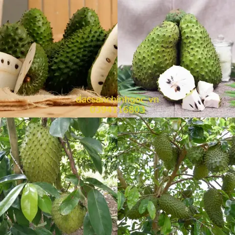 Top 18 Đặc Sản Đồng Nai Nên Thử: Món Ăn, Trái Cây Và Sản Vật Làm Quà