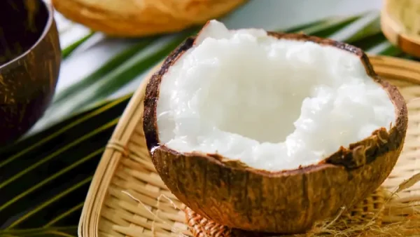 Dừa Sáp Là Gì? Đặc Sản Cầu Kè Trà Vinh: Đặc Điểm Nhận Biết, Cách Chế Biến & Kinh Nghiệm Mua Chọn