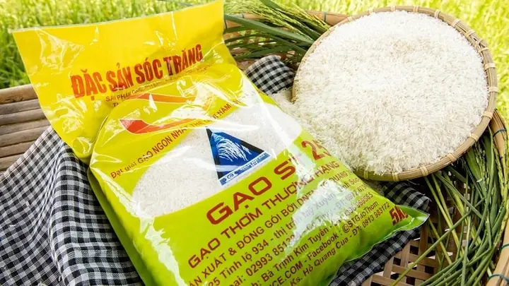 So Sánh Các Loại Gạo Đặc Sản Sóc Trăng (ST25, ST24, Bãi Xàu, Sa Mơ): Nên Chọn Loại Nào Để Ăn, Làm Quà? So Sánh Các Loại Gạo Đặc Sản Sóc Trăng (ST25, ST24, Bãi Xàu, Sa Mơ): Nên Chọn Loại Nào Để Ăn, Làm Quà?