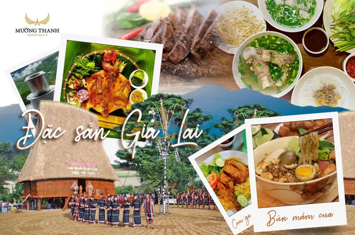 15 Đặc Sản Gia Lai Nên Chọn Làm Quà: Món Nào Dễ Mang Về? 15 Đặc Sản Gia Lai Nên Chọn Làm Quà: Món Nào Dễ Mang Về?