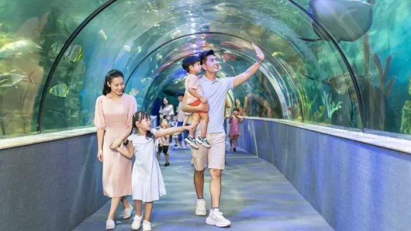 Top 20+ Đặc Sản Hà Đông Hà Nội Ăn Là Nhớ: Danh Sách Món Ngon & Quán Ăn Chuẩn Vị Cập Nhật 2027
