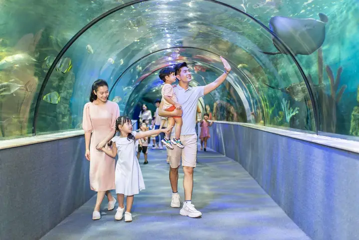Top 20+ Đặc Sản Hà Đông Hà Nội Ăn Là Nhớ: Danh Sách Món Ngon & Quán Ăn Chuẩn Vị Cập Nhật 2025