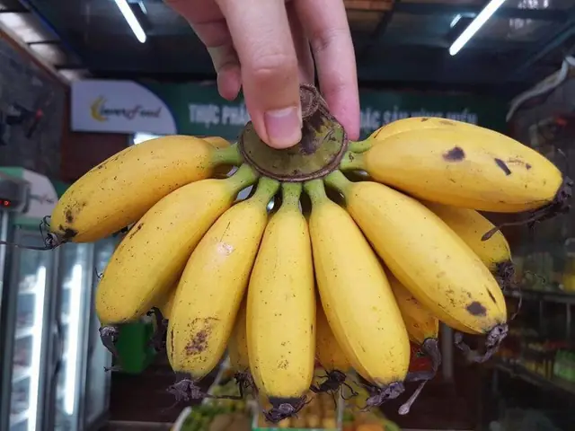 Top 12+ Đặc Sản Hà Nam Làm Quà Tặng Người Thân Bạn Bè: Gợi Ý Món Ngon, Dễ Mang Đi, Chuẩn Vị Quê