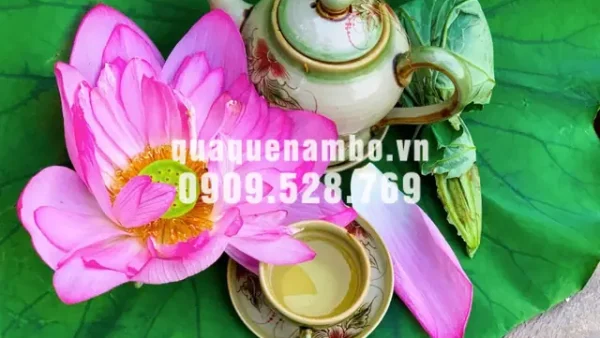 Chọn Đặc Sản Hà Nội Làm Quà Cho Sài Gòn: 20 Gợi Ý Đáng Tặng
