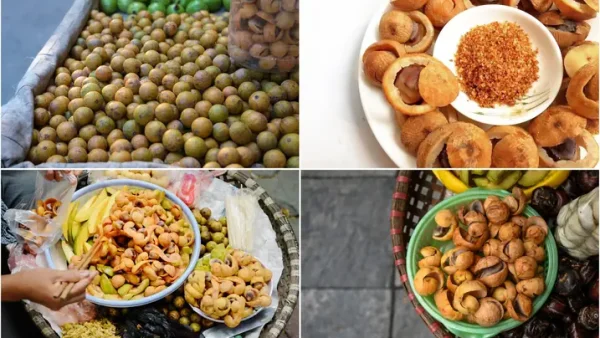 Tổng Hợp 13+ Đặc Sản Hà Nội Tháng 10 Ngon Nhất: Ăn Ngay & Mua Quà Chuẩn Vị Mùa Thu
