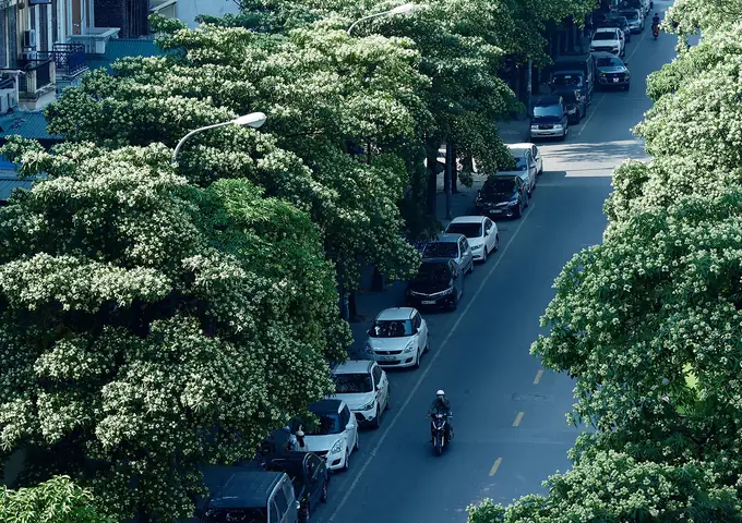 Top 20+ Đặc Sản Hà Nội Tháng 12: Món Nóng Hổi Ăn Ngay & Quà Khô Mang Về Làm Quà Tết