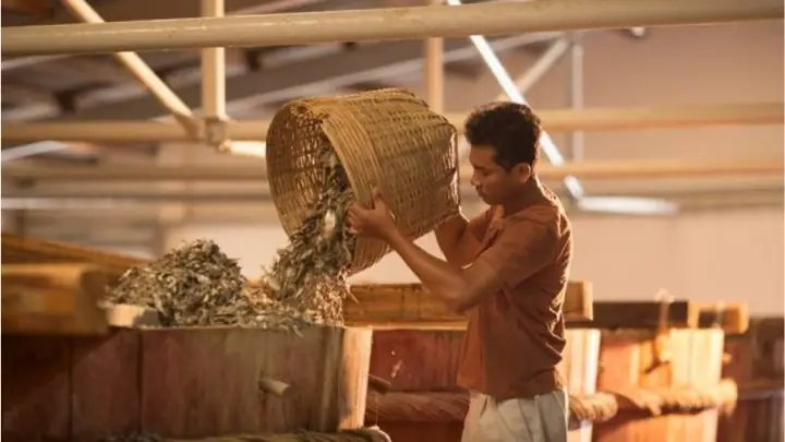 Cà Xỉu Hà Tiên: "đặc Sản Độc Tôn" Đầm Đông Hồ - Hương Vị, Cách Ăn Ngon & Mua Ở Đâu Chuẩn Gốc Cà Xỉu Hà Tiên: "đặc Sản Độc Tôn" Đầm Đông Hồ - Hương Vị, Cách Ăn Ngon & Mua Ở Đâu Chuẩn Gốc
