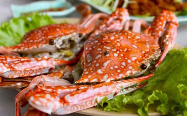 Top Đặc Sản Hải Phòng: Món Ngon Và Hải Sản Nên Ăn, Mua Về Làm Quà Top Đặc Sản Hải Phòng: Món Ngon Và Hải Sản Nên Ăn, Mua Về Làm Quà