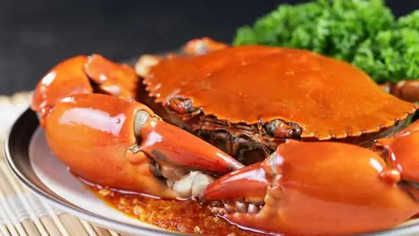 Top Đặc Sản Hải Phòng: Món Ngon Và Hải Sản Nên Ăn, Mua Về Làm Quà Top Đặc Sản Hải Phòng: Món Ngon Và Hải Sản Nên Ăn, Mua Về Làm Quà