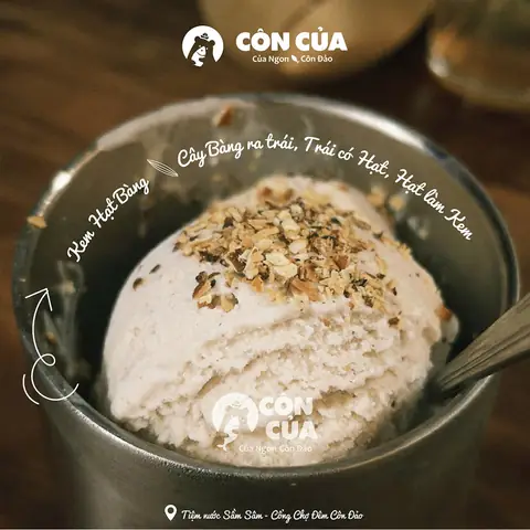 Tổng Hợp Các Món Ăn & Đặc Sản Từ Hạt Bàng Côn Đảo: Top Sản Phẩm Ngon, Cách Chọn & Mua Quà Chuẩn Tổng Hợp Các Món Ăn & Đặc Sản Từ Hạt Bàng Côn Đảo: Top Sản Phẩm Ngon, Cách Chọn & Mua Quà Chuẩn