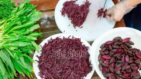 Đặc Sản Hiệp Hòa Bắc Giang: Top 10+ Món Ngon & Quà Biếu Đẳng Cấp (nham Trám, Gỏi Cá Mè, Mỳ Chũ…)