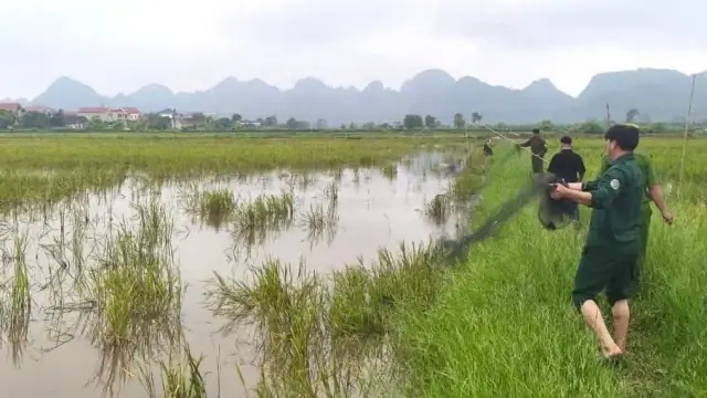 Top 10+ Đặc Sản Hồ Trị An Ngon Nhất: Từ Món Ăn Tươi Sống Đậm Đà Đến Quà Biếu Khô Khô (kèm Gợi Ý Theo Nhóm Khách & Bí Quyết Mua Chuẩn)