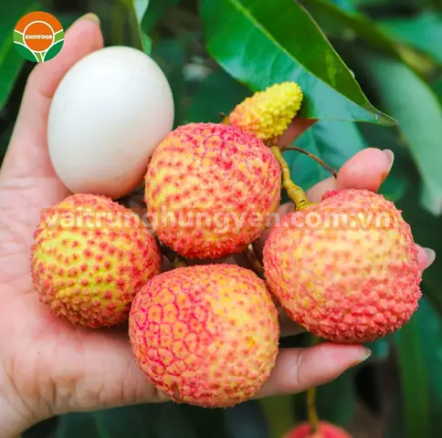 Đặc Sản Bằng Tiếng Anh Là Gì? Specialty Vs Speciality, Từ Vựng Đi Kèm & Ví Dụ Thực Tế Đặc Sản Bằng Tiếng Anh Là Gì? Specialty Vs Speciality, Từ Vựng Đi Kèm & Ví Dụ Thực Tế