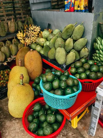 Đặc Sản Khánh Sơn: Danh Sách 10+ Món Ngon & Quà Tặng Đặc Trưng Vùng Núi