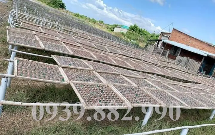 Tổng Hợp Đặc Sản Khô Bình Thuận: Top Loại Ngon, Giá Cả, Cách Chọn Mua Uy Tín & Bảo Quản Chuẩn Tổng Hợp Đặc Sản Khô Bình Thuận: Top Loại Ngon, Giá Cả, Cách Chọn Mua Uy Tín & Bảo Quản Chuẩn