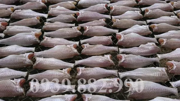 Tổng Hợp Đặc Sản Khô Bình Thuận: Top Loại Ngon, Giá Cả, Cách Chọn Mua Uy Tín & Bảo Quản Chuẩn