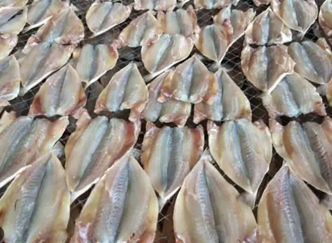 Khám Phá Đặc Sản Khô Cà Mau: Loại Nào Ngon, Tiêu Chí Chọn Và Ý Nghĩa Quà Tặng