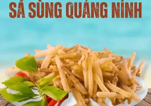 Top 10 Đặc Sản Khô Quảng Ninh Làm Quà Ý Nghĩa – Khám Phá Hương Vị Biển Truyền Thống