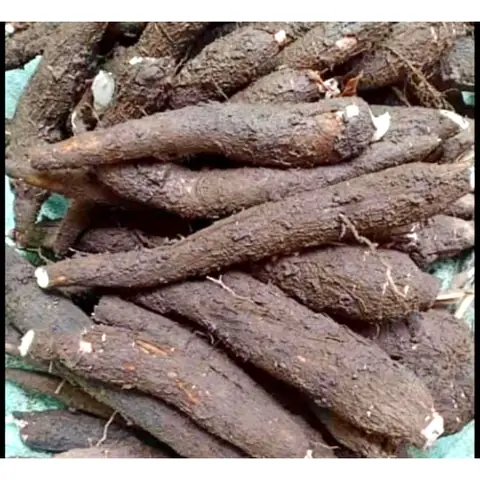 Khám Phá Đặc Sản Khoai Mì Củ Chi: Lịch Sử, Top Món Ăn Ngon & Bí Quyết Chọn Mua Quà Chuẩn Vị