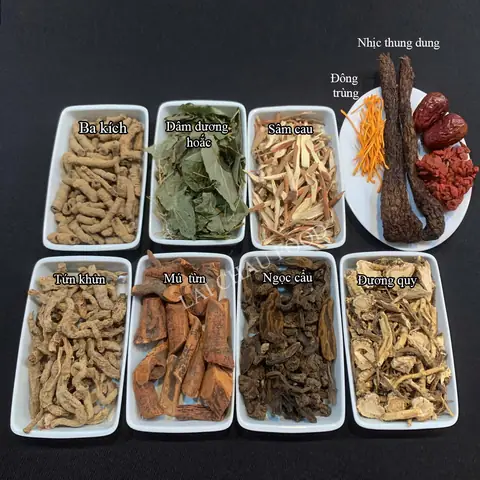Top Đặc Sản Lai Châu Ngâm Rượu Nổi Tiếng 2026: Review Chi Tiết, Cách Chọn Mua Chuẩn Và Giá Tham Khảo Top Đặc Sản Lai Châu Ngâm Rượu Nổi Tiếng 2026: Review Chi Tiết, Cách Chọn Mua Chuẩn Và Giá Tham Khảo