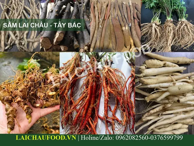 Top Đặc Sản Lai Châu Ngâm Rượu Nổi Tiếng 2026: Review Chi Tiết, Cách Chọn Mua Chuẩn Và Giá Tham Khảo Top Đặc Sản Lai Châu Ngâm Rượu Nổi Tiếng 2026: Review Chi Tiết, Cách Chọn Mua Chuẩn Và Giá Tham Khảo
