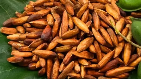 Top 50+ Đặc Sản Làm Quà Tết 3 Miền, Tây Bắc, Hà Nội 2026: Gợi Ý Theo Đối Tượng & Ngân Sách