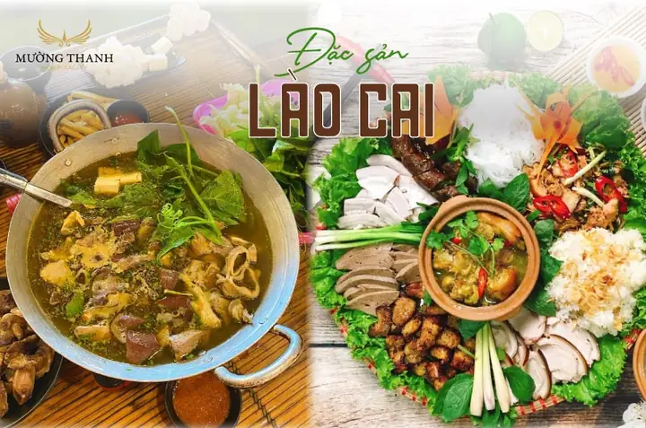 Top 18+ Đặc Sản Lào Cai Nên Mua Làm Quà 2026: Giá Tốt, Uy Tín, Phù Hợp Mỗi Đối Tượng
