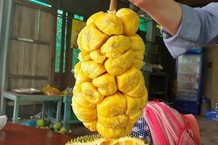 Tổng Hợp 20+ Đặc Sản Long Khánh Nổi Tiếng: Trái Cây, Món Ăn, Quà Mang Đi & Địa Chỉ Mua Uy Tín 2024 Tổng Hợp 20+ Đặc Sản Long Khánh Nổi Tiếng: Trái Cây, Món Ăn, Quà Mang Đi & Địa Chỉ Mua Uy Tín 2024