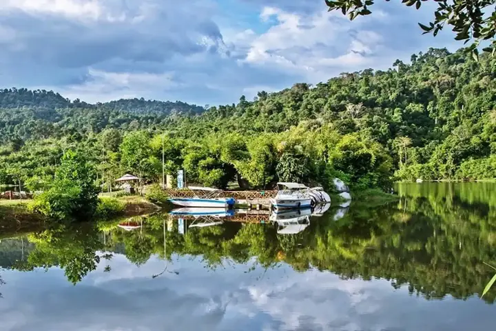 Đặc Sản Madagui Có Gì Ngon? Khám Phá Top Các Món Ăn Và Ẩm Thực Núi Rừng Độc Lạ Đặc Sản Madagui Có Gì Ngon? Khám Phá Top Các Món Ăn Và Ẩm Thực Núi Rừng Độc Lạ