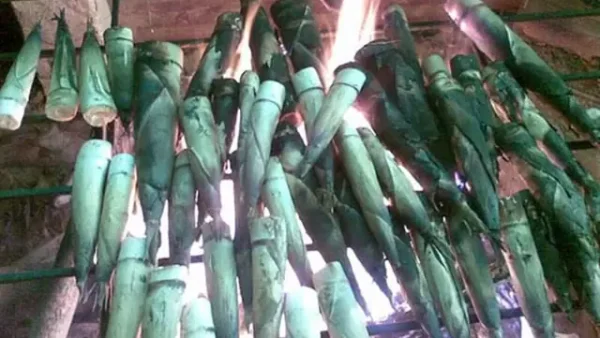 Măng Đắng Là Gì? Khám Phá Đặc Sản Núi Rừng 5 Vùng Miền: Đặc Điểm, Chế Biến, Món Ngon & Bí Quyết Chọn Mua