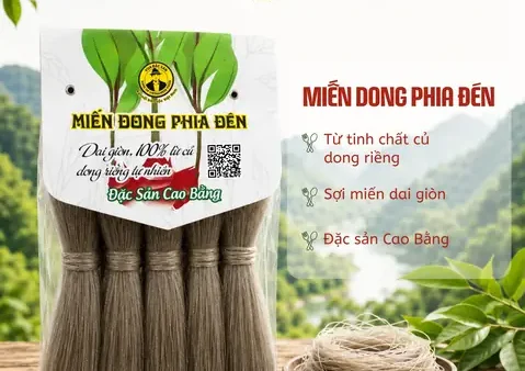 Miến Dong Phia Đén – Đặc Sản Cao Bằng Nổi Tiếng Ăn Cùng Gì, Mua Ở Đâu Chất Lượng?