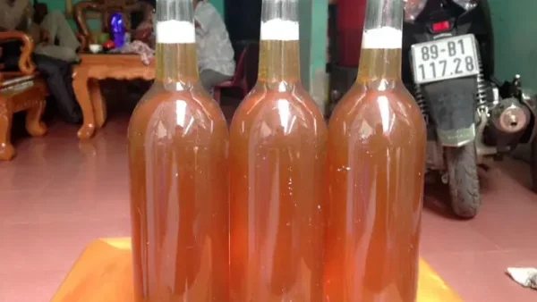 Đặc Sản Mỹ Tho Là Gì? Top Các Món Ăn Ngon Nức Tiếng Và Địa Chỉ Thưởng Thức Chuẩn Vị