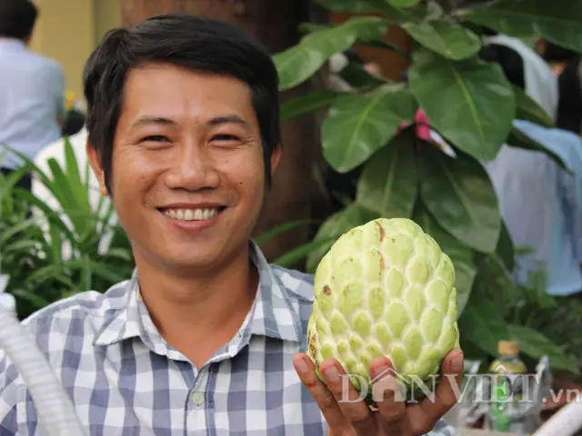 Khám Phá Top Các Vùng Trồng Và Loại Đặc Sản Na Nổi Tiếng Nhất Việt Nam Khám Phá Top Các Vùng Trồng Và Loại Đặc Sản Na Nổi Tiếng Nhất Việt Nam