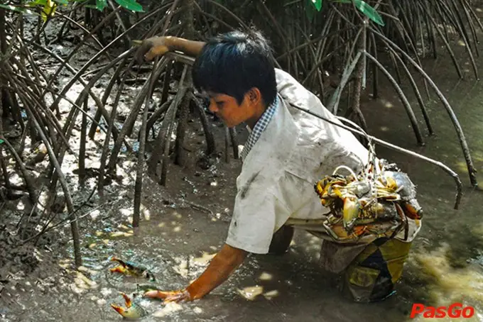 Khám Phá Đặc Sản Năm Căn Cà Mau: Top Món Ngon Đất Mũi Và Kinh Nghiệm Mua Làm Quà Khám Phá Đặc Sản Năm Căn Cà Mau: Top Món Ngon Đất Mũi Và Kinh Nghiệm Mua Làm Quà