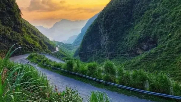 Đặc Sản Nghĩa Lộ Có Gì Ngon? Top Các Món Ngon Trứ Danh Vùng Mường Lò