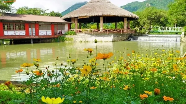 Top 10+ Đặc Sản Núi Cấm An Giang Ăn Một Lần Nhớ Mãi: Món Gì Ngon, Mùa Nào Ăn, Mua Ở Đâu?