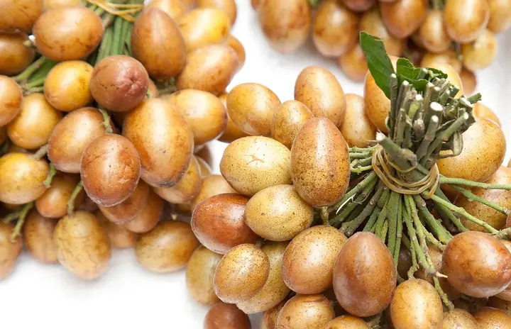 Đặc Sản Hòa Bình: Top Các Món Ngon Nổi Tiếng Nên Thử Và Mua Làm Quà Đặc Sản Hòa Bình: Top Các Món Ngon Nổi Tiếng Nên Thử Và Mua Làm Quà