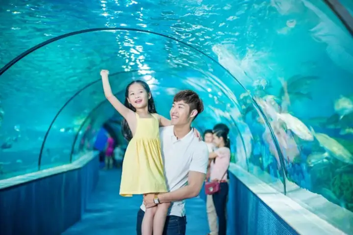 Top 25 Đặc Sản Phan Thiết Ngon Nức Tướng Và Mua Làm Quà Nổi Tiếng Nhất Năm 2026