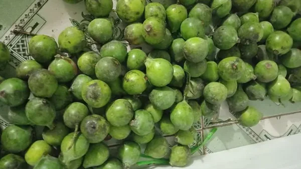 Top 15 Đặc Sản Phú Thọ Nổi Tiếng Nhất Định Phải Thử Và Mua Làm Quà