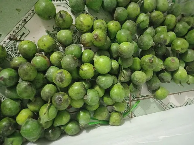 Top 15 Đặc Sản Phú Thọ Nổi Tiếng Nhất Định Phải Thử Và Mua Làm Quà