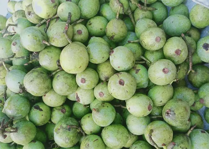 Top 15 Đặc Sản Phú Thọ Nổi Tiếng Nhất Định Phải Thử Và Mua Làm Quà