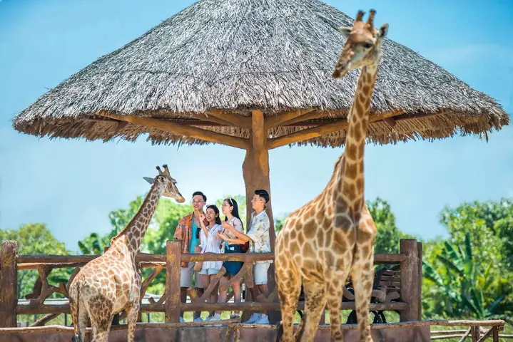 Top 15+ Đặc Sản Quan Lạn Ăn Ngon Mua Quà 2025: Phân Loại Ăn Tại Chỗ & Mang Về, Giá Tham Khảo & Địa Chỉ Uy Tín Top 15+ Đặc Sản Quan Lạn Ăn Ngon Mua Quà 2025: Phân Loại Ăn Tại Chỗ & Mang Về, Giá Tham Khảo & Địa Chỉ Uy Tín