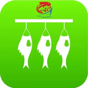 Tổng Hợp Danh Sách Mua Đặc Sản Quy Nhơn Ở Hà Nội Ngon, Chuẩn Vị Xứ Nẫu Nhất