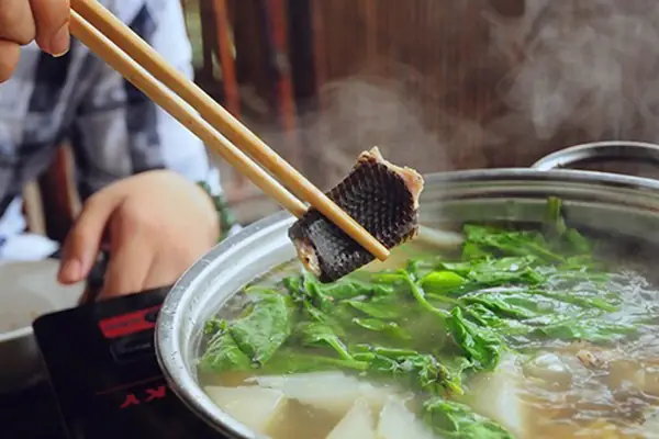 Tổng Hợp Những Món Ngon Từ Thịt Rắn Việt Nam Tổng Hợp Những Món Ngon Từ Thịt Rắn Việt Nam