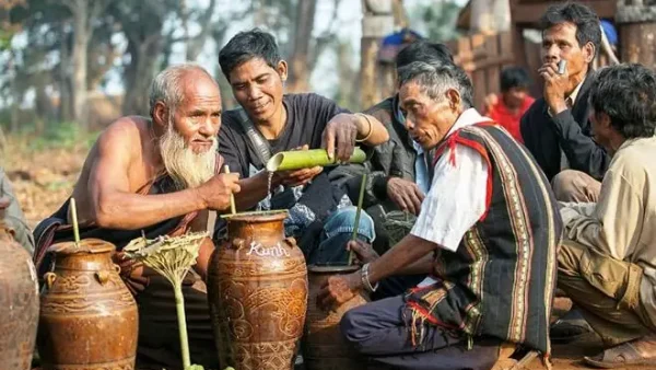 Top 15+ Đặc Sản Rừng Kon Tum Nổi Tiếng: Danh Sách Món Ngon, Quà Biên & Cách Chọn Mua Chuẩn Vị