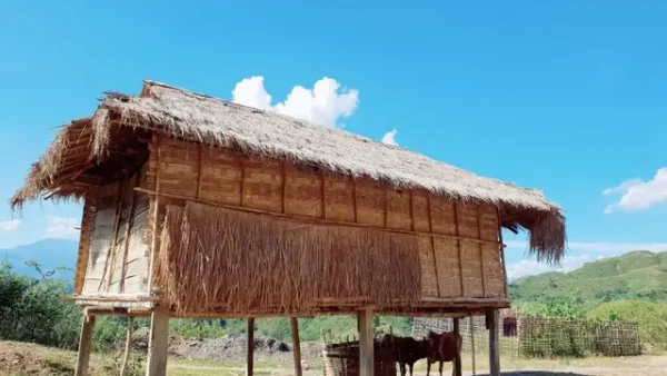Khám Phá Top 15+ Đặc Sản Rừng Tây Bắc Thơm Ngon Đậm Đà Hương Vị Núi Rừng