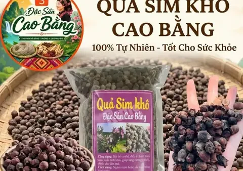 Khám Phá Đặc Sản Rượu Cao Bằng: Hương Vị Men Lá Truyền Thống Nơi Vùng Cao