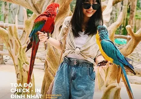 Đặc Sản Rượu Phú Quốc Nào Ngon? Top Các Loại Thơm Ngon Và Địa Chỉ Mua Uy Tín Nhất